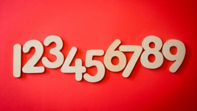 phone numbers list multiple formats