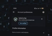 phone verification numbers list provided
