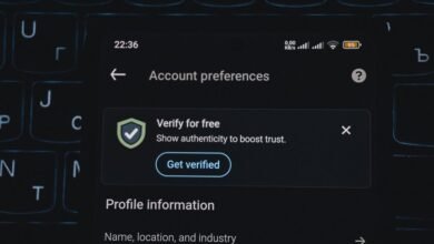 phone verification numbers list provided