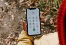 phone verification numbers listed