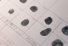 public numbers four ids listed
