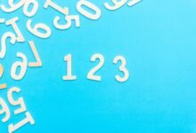 registry search file numbers listed