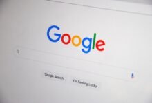 registry search results specific ids listed
