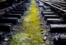 track numbers and reference history list