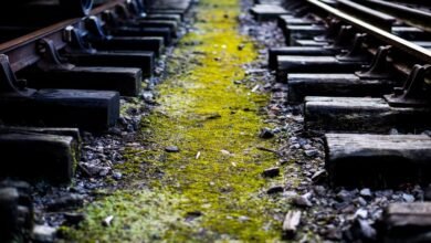 track numbers and reference history list