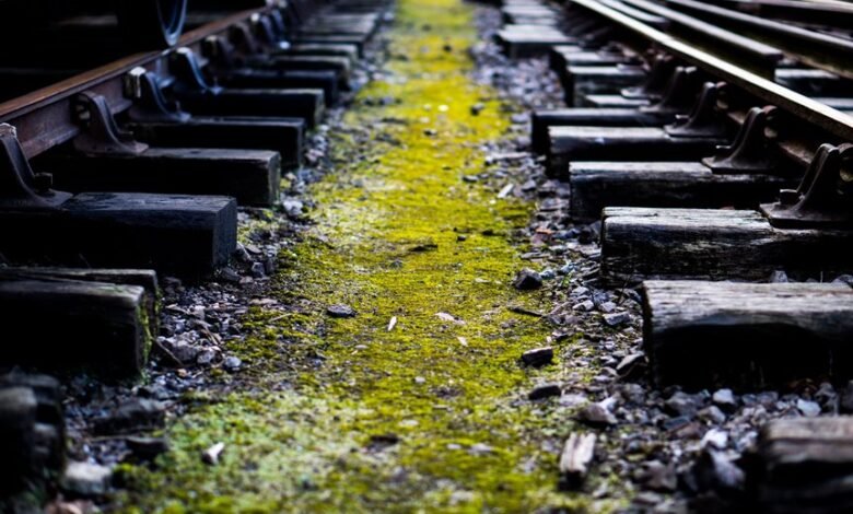 track numbers and reference history list