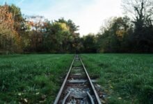 track registry numbers listed lookup