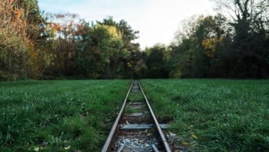 track registry numbers listed lookup