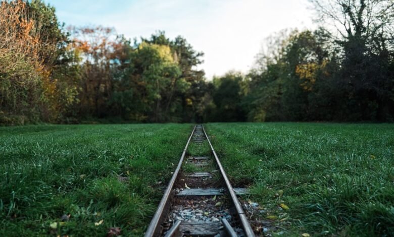 track registry numbers listed lookup